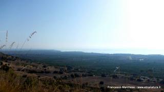 stello marchesa di Cassibile-10-02-2015 19-54-51